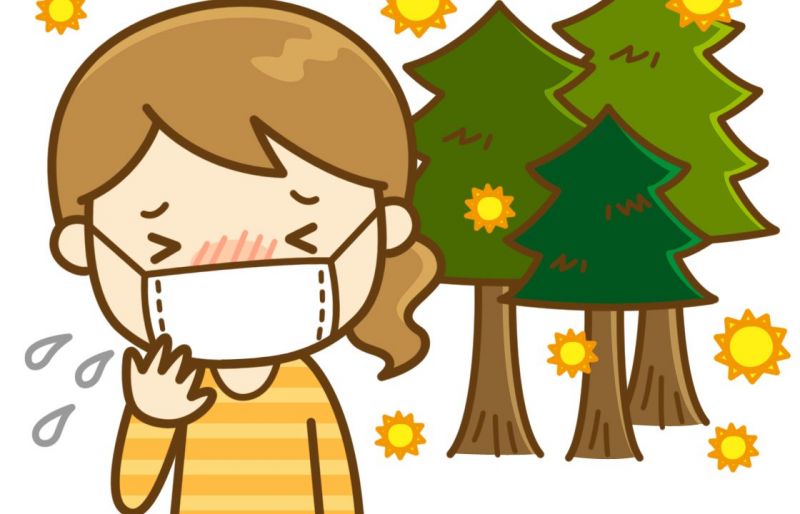 dị ứng phấn hoa ở Nhật và những điều bạn cần biết dị ứng phấn hoa ở Nhật và những điều bạn cần biết